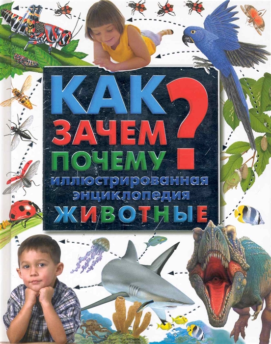 

Как Зачем Почему Илл энц Животные