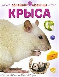 

Крыса