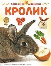 

Кролик