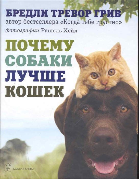 

Почему собаки лучше кошек