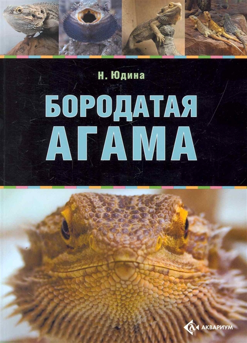 

Бородатая агама