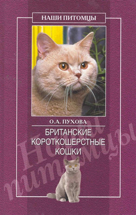 

Британские короткошерстные кошки Наши питомцы Пухова О Вече