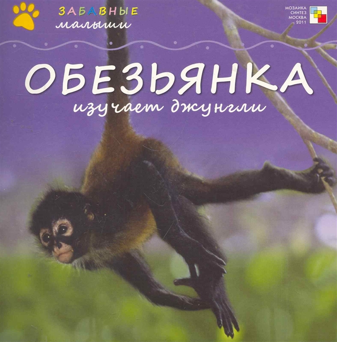 

Обезьянка изучает джунгли