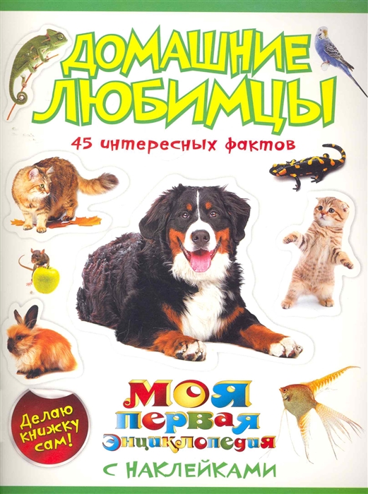 

Домашние любимцы