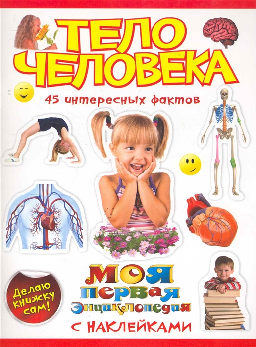 

Тело человека 45 интересных фактов
