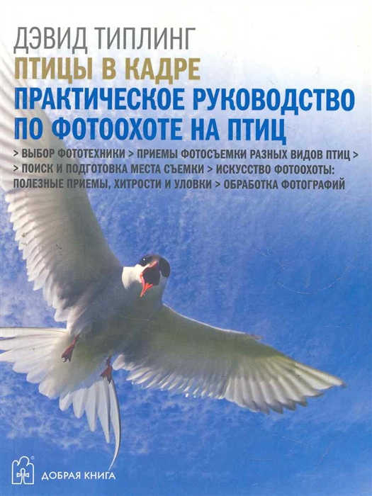 

Птицы в кадре Практическое руководство по фотоохоте на птиц
