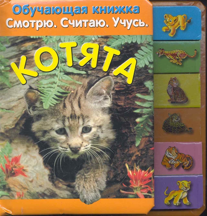 

Котята