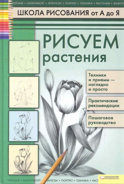 

Рисуем растения