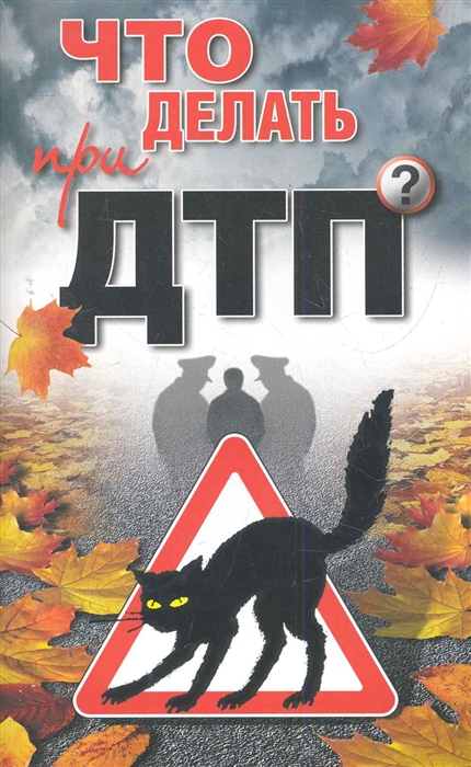 

Что делать при ДТП