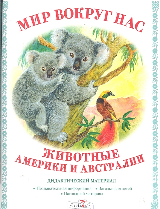 

Животные Америки и Австралии Дидактический материал