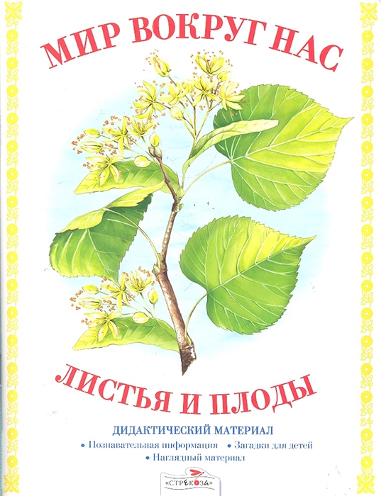 

Листья и плоды Дидактический материал