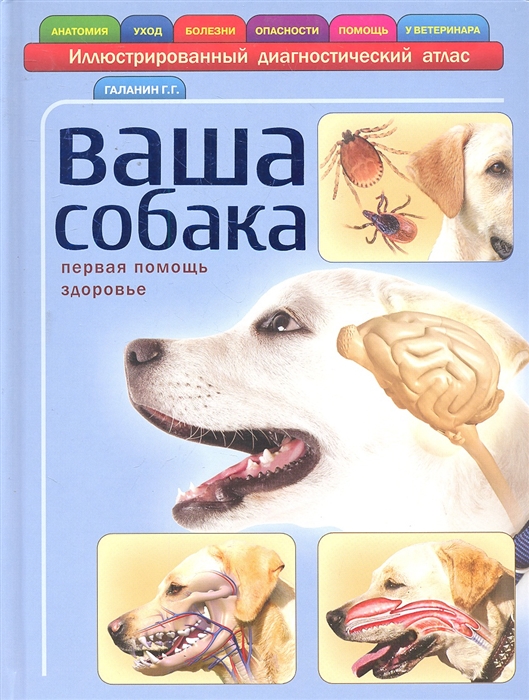 

Ваша собака Илл диагностический атлас