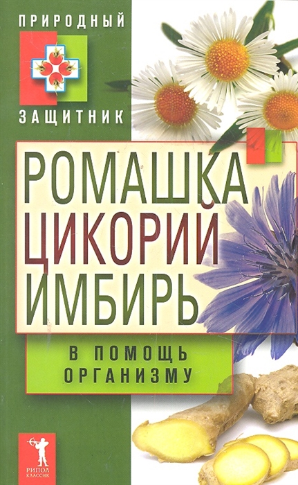 

Ромашка цикорий имбирь в помощь организму