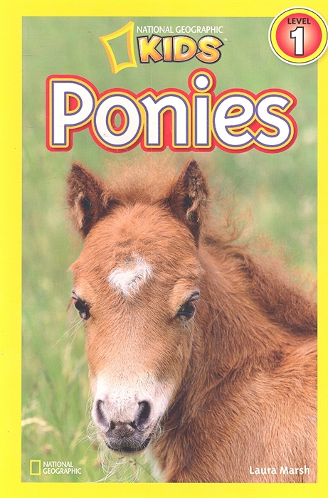 

Ponies Lev 1