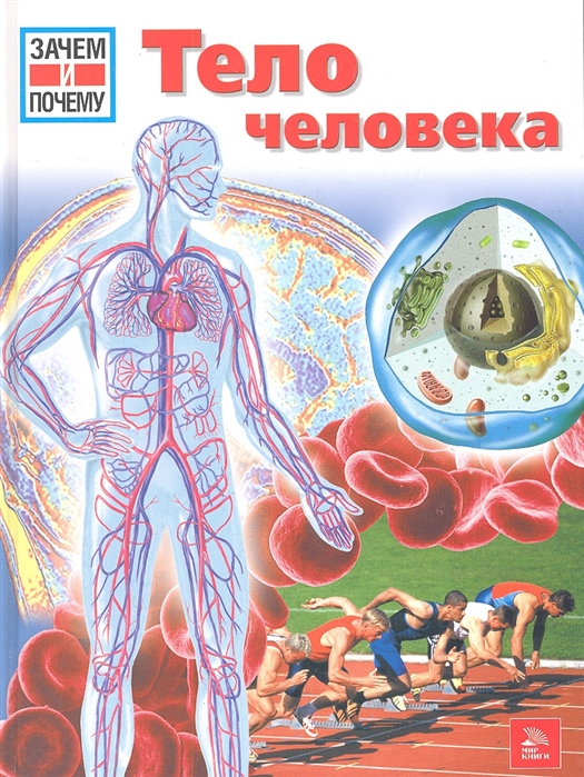 Лет мир книги. Обложки тело человека. Обложка для книга тело человека. Мир книги тело человека. Наше тело книга.