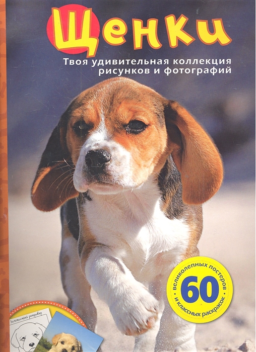 

Щенки