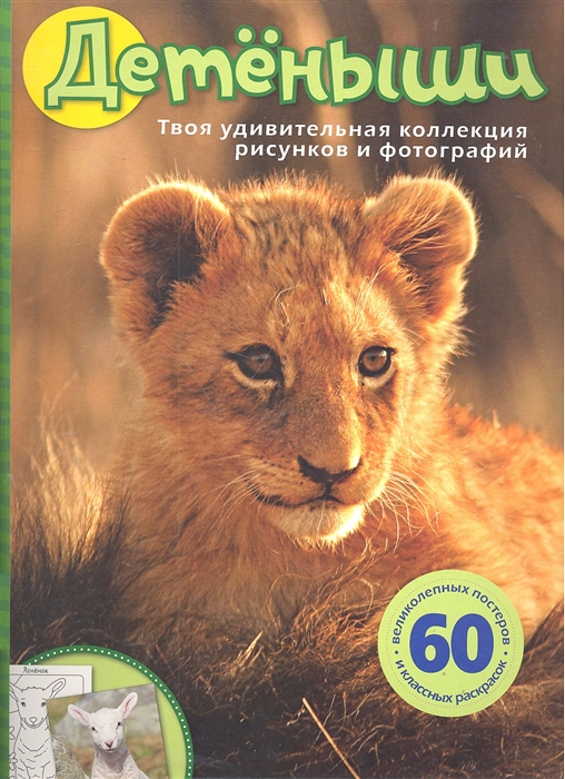 

Детеныши