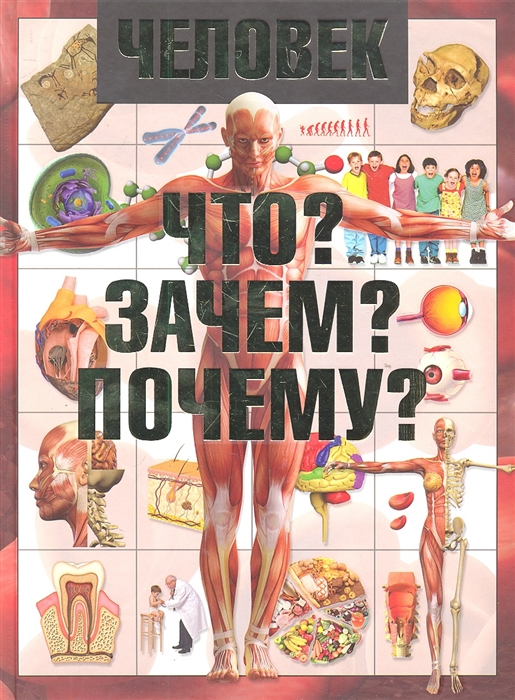 

Человек Что Зачем Почему