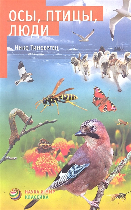 

Осы птицы люди