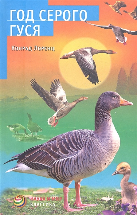 

Год серого гуся