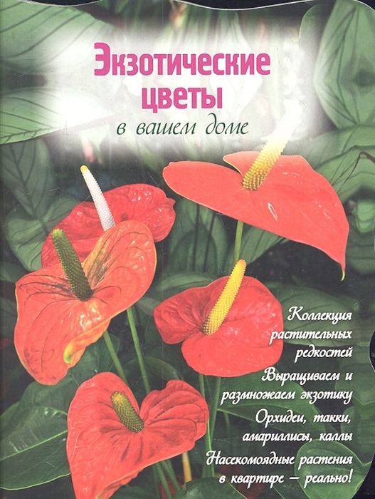 

Экзотические цветы в вашем доме