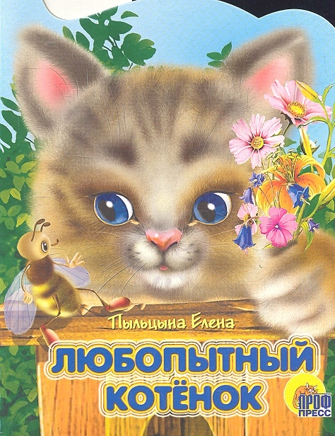 

Любопытный котенок