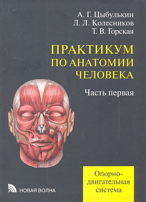 

Практикум по анатомии человека В четырех частях Часть первая Опорно-двигательная система