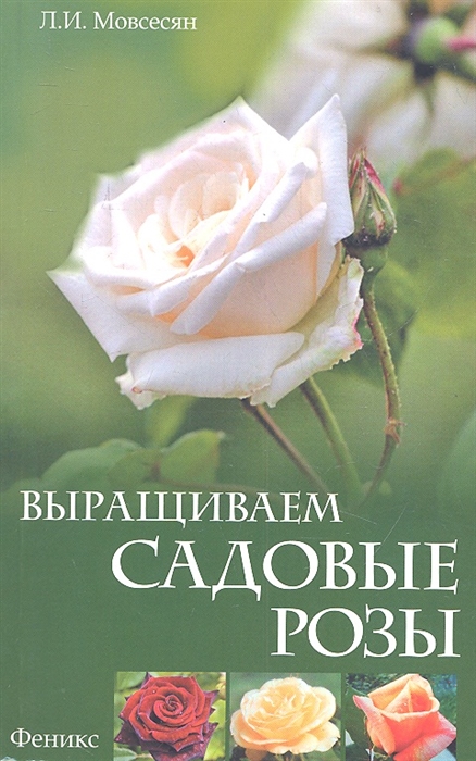 

Выращиваем садовые розы