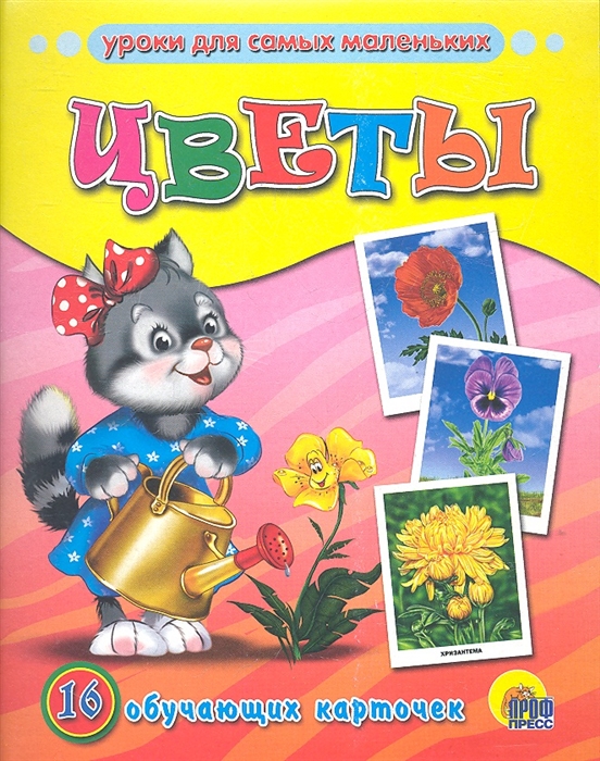 

Цветы 16 обучающих карточек