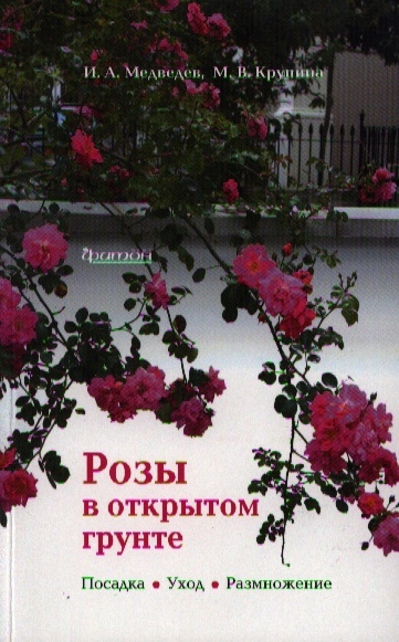 Розы в открытом грунте