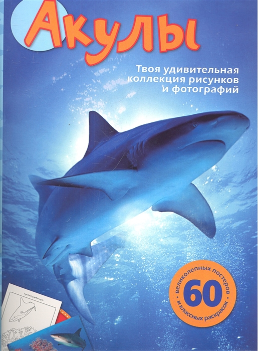 

Акулы