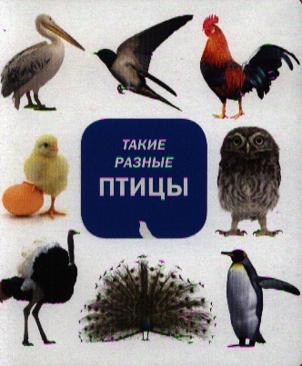 

Такие разные птицы