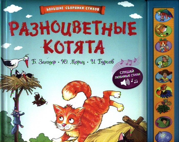 

Разноцветные котята
