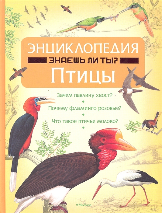 

Птицы Энциклопедия Знаешь ли ты