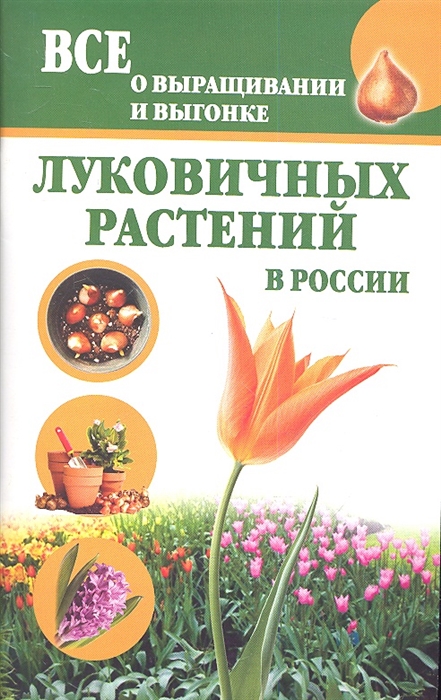

Все о выращивании и выгонке луковичных растений в России