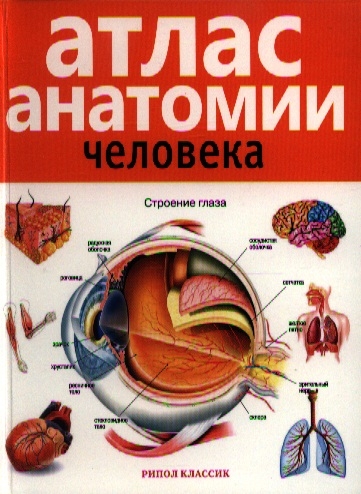 

Атлас анатомии человека 2-е издание дополненное и переработанное