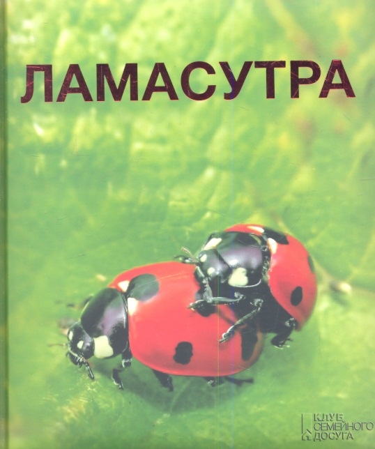 

Ламасутра