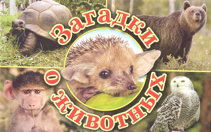 

Загадка о животных