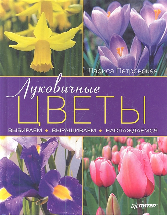 

Луковичные цветы выбираем выращиваем наслаждаемся