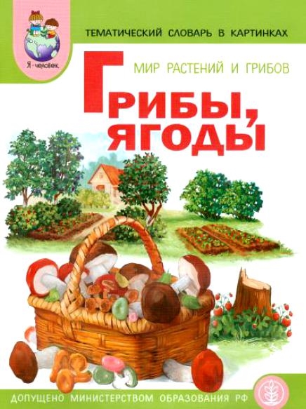 

Тематический словарь в картинках Мир растений и грибов Ягоды Грибы