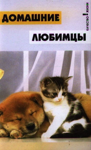 

Домашние любимцы