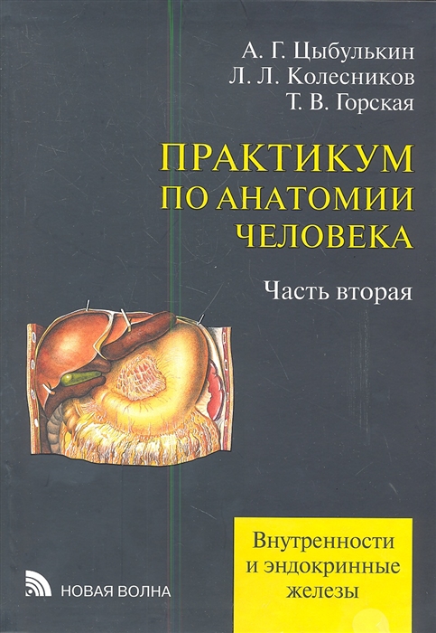 Цыбулькин А., Колесников Л., Горская Т. - Практикум по анатомии человека В четырех частях Часть вторая Внутренности и эндокринные железы