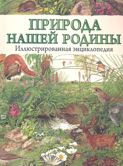 

Природа нашей Родины Иллюстрированная энциклопедия