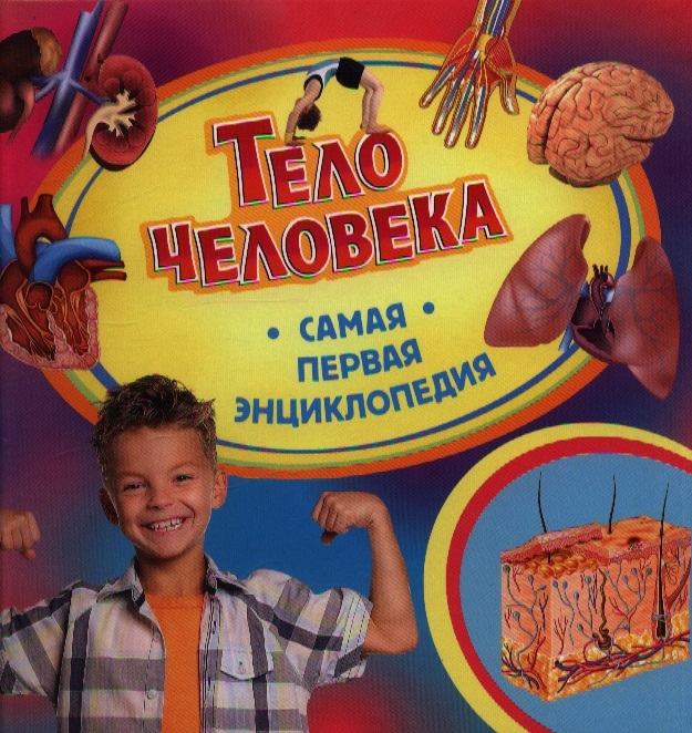 

Тело человека