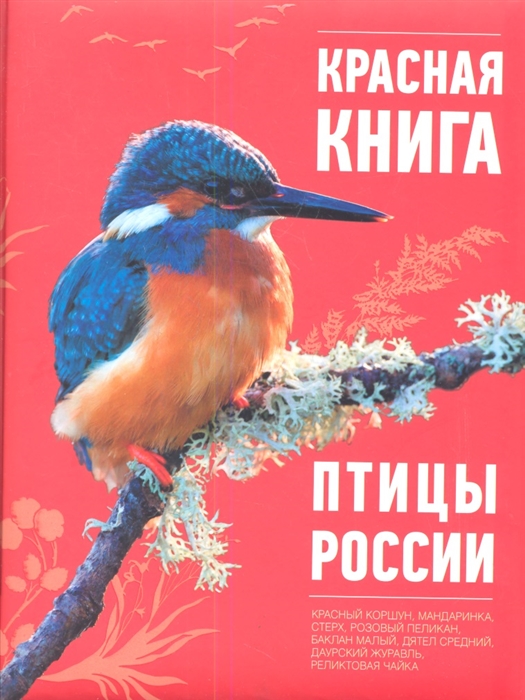 

Красная книга Птицы России