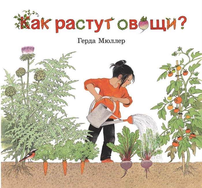 

Как растут овощи