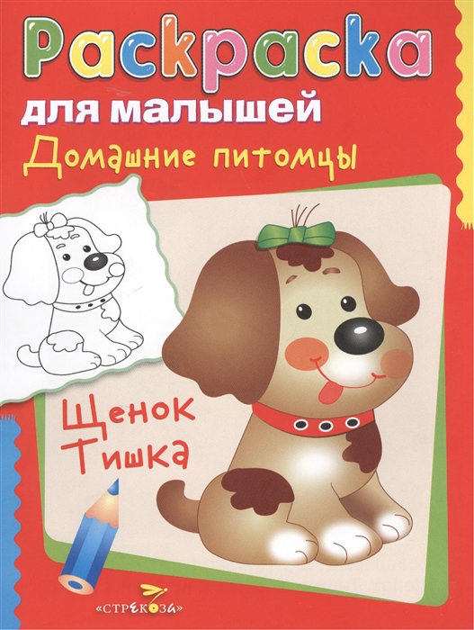 

Домашние питомцы Щенок Тишка