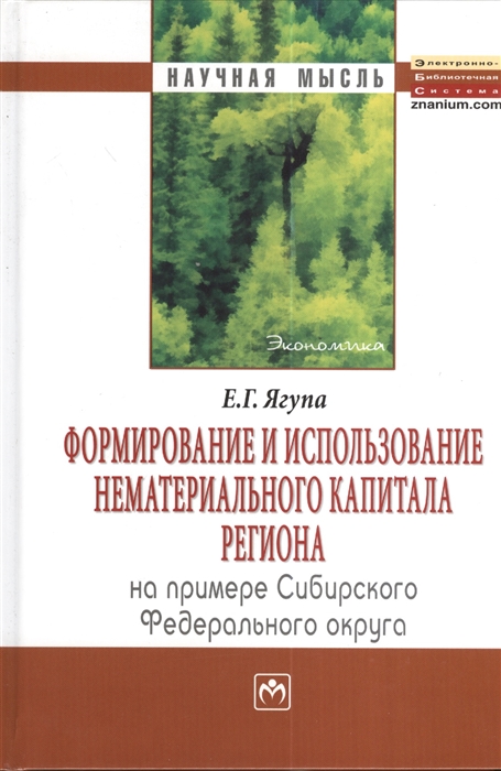 

Формирование и использование нематериального капитала региона на примере сибирского федерального округа Монография