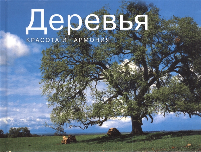 

Деревья Красота и гармония