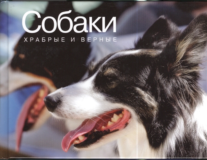 

Собаки Храбрые и верные